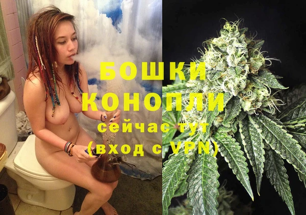 молекула духа Михайловка