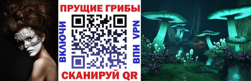 Псилоцибиновые грибы мицелий  цена   Льгов 